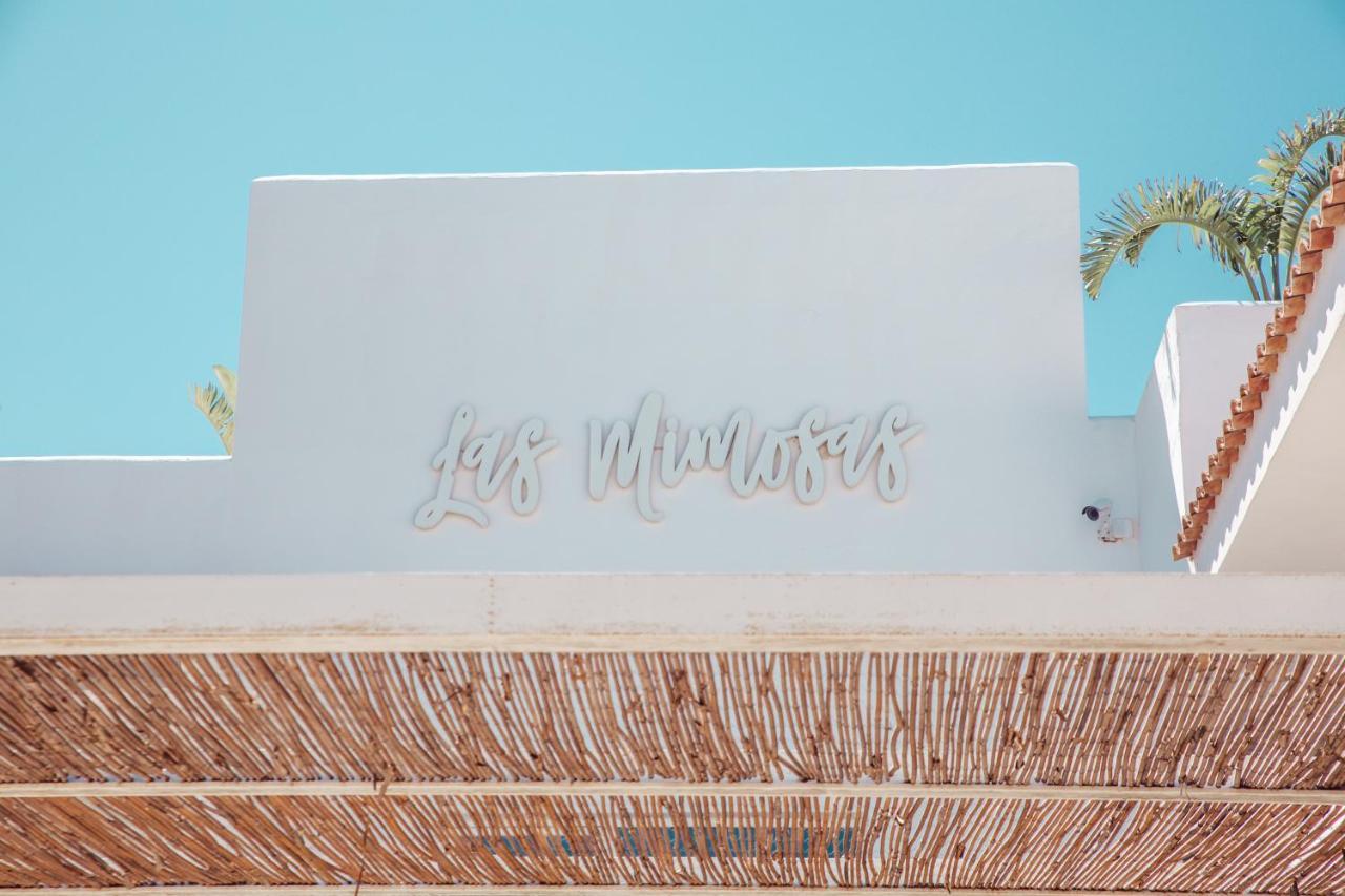 Hotel Boutique & Spa Las Mimosas Ibiza (Adults Only) Sant Antoni de Portmany Dış mekan fotoğraf